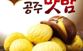 알뜰 쇼핑족 주목!! 국산밤으로 만든 꿀맛 공주맛밤 50g  30봉 추천상품