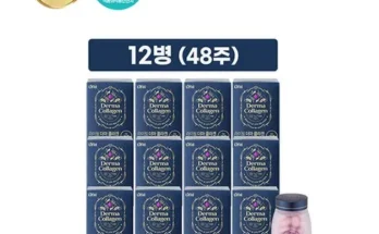 가성비 끝판왕 라이필 더마 콜라겐 48주4주 리뷰 추천