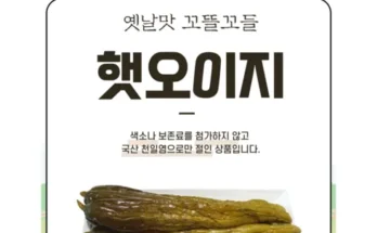 백화점에서 난리난 국내산 통오이지 20개  추천 베스트8