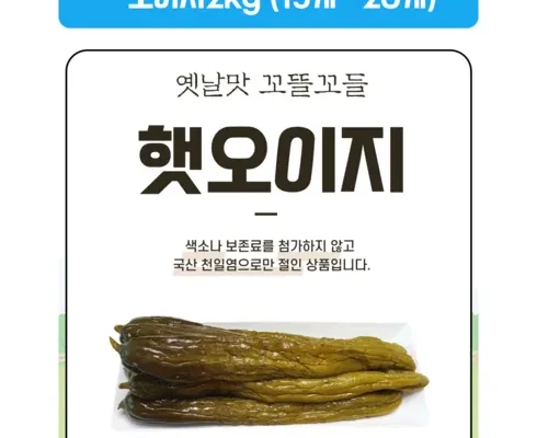 백화점에서 난리난 국내산 통오이지 20개  추천 베스트8