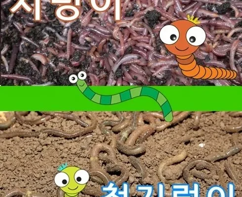 쉽게 사용하는 지렁이 화사한