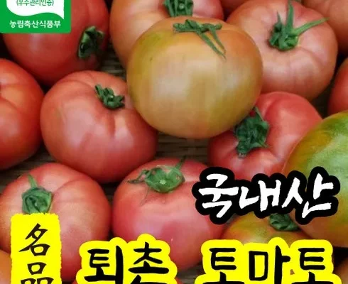 후회 없는 선택 퇴촌토마토 적극추천