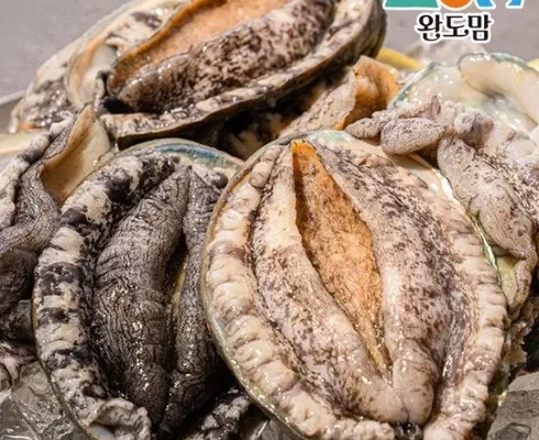 핫한  진도 활 전복 100g이상8마리  리뷰