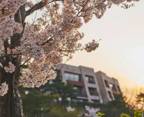 유니크한 블루원 적극추천