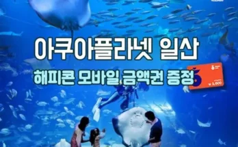 쉽게 사용하는 여수아쿠아플라넷 후기