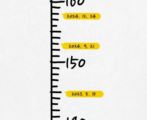 방송인기상품 키재기자 리뷰